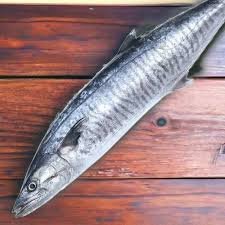 Sheer Fish